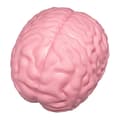 Giant Simulated Brain Squeeze Toy - Pink Brain & Slow Rising - For Stress Relief & Decompression - Realistic Fidget 1pc