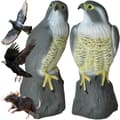 Bird Scarer Falcon - Scares away birds