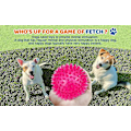 Miniatyrbild 2 av 5: Set med 3 pipande hundbollar 6,5 cm