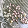 Miniatyrbild 4 av 5: 100 st Nail Art Rhinestones Stjärnformade Pärlor Nagelcharm Glaskristaller
