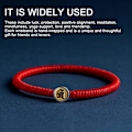 Miniatyrbild 3 av 5: Handgjord vävd strängarmband handledsband | Justerbart unisex vänskapsband för män kvinnor rött rep armband
