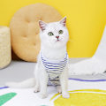 Miniatyrbillede 6 af 6: Katte Kirurgi Gendannelsesdragt, Katte Kegle E-Halsbånd Alternativ Efter Operation, Kæledyrs Gendannelses T-shirt (blå)
