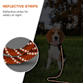 Miniatyrbilde 5 av 5: Lang line for hundetrening - Refleksjonsbånd i nylon, sjekktau for hunder på tur, camping