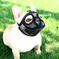 Miniatyrbilde 5 av 6: Kort Snute Hundemunnkurv - Justerbar Pustende Mesh Bulldog Munnkurv for Biting, Tygging, Bjeffing og Trening