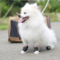 Pikkukuva 5 / 5: Koiran kengät Sneaker Lemmikin Tarranauha-Kangaskengät Chihuahua Pentu Liukumattomat Saappaat Urheilu Liukumaton Tassunsuoja
