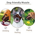 Miniatyrbillede 5 af 6: Hundemundkurv i Læder, Komfortabel og Sikker Anti-Bjeff Mundkurv til Hunde, Åndbar og Justerbar, Tillader Drikke og Spisning (Kaffe)