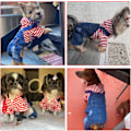 Miniatyrbild 5 av 6: Hund- och katttröjor kläder röda randiga denimkläder blå jeans overaller en-delad jacka kostymer kläder huvtröjor