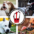 Miniatyrbilde 5 av 5: Hundemuslinger, Myke Justerbare Loop-Muslinger med Hodebånd Anti-Biting Bjeffing og Tygging (Rød)