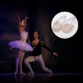Miniatyrbilde 7 av 8: 1 par Saueull Soft Bottom Dance Halvsåle PU Sko Svingende Sko for Ballet Jazz Kvinner/Menn/Voksen Katteklo Sko Ballettsko Treningssko
