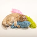 Miniatyrbild 4 av 5: Kattmynta Leksak Interaktiv Katt Spark Leksak Plyschtyg
