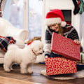 Miniatyrbilde 6 av 6: 2-delt hundeklær kjæledyrgenser vinter solid genser