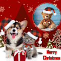 Miniatyrbild 4 av 5: Xmas presentkläder Outfit för hamster Chinchilla iller ödla