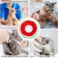 Miniatyrbild 5 av 6: Justerbar kattkon krage mjuk, söt katt återhämtnings krage, katt kottar efter operation för kattungar (vattenmelon)