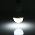 Miniatyrbillede 3 af 8: 10W Solpanel Strømsystem til Hjembelysning med 2 LED Pærer og USB-Oplader