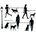 Miniatyrbillede 4 af 5: Hunde-træningsline lavet til hvalpe, mellemstore og store hunde