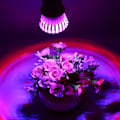 Pikkukuva 1 / 2: 85-265V E27 6LED Kukkakasvien Kasvualamppi Kupera Lamppu (E27 6LED)