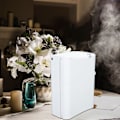 Miniatyrbillede 1 af 8: Luftaromaterapi Diffuser Vandfri Langvarig Emotionel Regulering Stor Dækning Krops- og Sindet-Afslapning Aromatisk Maskine EU Stik 100‑240V