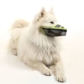 Miniatyrbilde 3 av 8: Hundemusling for små, mellomstore og store hunder, luftnett pustende og drikkevennlig kjæledyr-musling for å forhindre biting, bjeffing og slikking