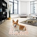 Miniatyrbillede 2 af 5: Pets Ultra Blød Hundebed Vaskbar Hundebed Burmåtte til Store Mellemstore Små Hunde Vendbar Fleece Hund
