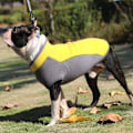 Miniatyrbilde 6 av 6: Stretch Fleece Vestjakke for Hund, Halv Glidelås Fleece Hundegenser Vinterjakke, Varmt Hundeklær for Kaldt Vær