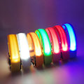 Pikkukuva 4 / 5: USB-ladattava LED-koiranpanta - Säädettävä valaistu koiranpanta