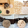 Miniatyrbild 6 av 7: Hamster tuggleksaker set smådjur tuggleksaker tänder vård trätillbehör