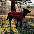 Miniatyrbillede 3 af 5: Hættetrøje til kæledyr efterår og vintertartan hundetøj Aftagelig hat kæledyrs sweater