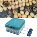 Miniatyrbilde 1 av 8: Egg Inkubator Kontroller LED Lys Automatisk Vendende Inkubator Fuktighetskontroller Grønn EU-Plugg 220V 38 Egg