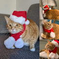 Miniatyrbilde 5 av 5: Hatt, skjerf og sjal for kjæledyrkatt og -hund