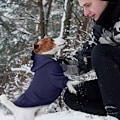 Miniatyrbillede 4 af 5: Vinter Hund Hoodie Trøjer med Lommer Varme Hundeklæder til Små Hunde Chihuahua Frakke Tøj Hvalp