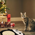 Miniatyrbild 5 av 5: 1 st tecknad kattklösbräda Katt/Lejon/kyckling/Panda sisal kattklösbräda