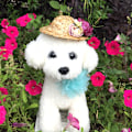 Miniatyrbilde 4 av 5: Hatt i strå for hund med blomster-sombrero, justerbar Hawaii-hage solhatt for små hunder valper katter