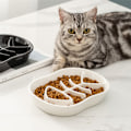 Miniatyrbillede 3 af 8: Hunde Slow Feeder Keramik Kat Hund Skål Hundefoder Skål Langsom Foder Madskåle til Bulldog Hvalp Mellemstore Hunde Kæledyrs Kost