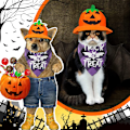 Pikkukuva 5 / 5: 2 Pakkaa Halloween-Koirahuivi Kääntyvät Kolmion Muotoiset Hihnat Asusteet