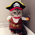 Miniatyrbild 1 av 6: Ny rolig husdjurskläder pirat hund katt kostym dräkt Corsair klä upp festkläder kläder för katt hund plus hatt
