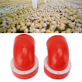 Miniatyrbilde 1 av 8: Fôrportsett for fjærfe, automatisk, stor diameter, regntett, praktisk tyngdekraftsfôringsett for bøtter