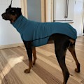 Miniatyrbilde 3 av 6: Hundefrakke med høy krage og todelt design - solid hundebekledning