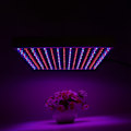 Miniatyrbillede 1 af 2: 85-265V 32W 225 LED Vækstlys Indendørs Hydroponics Plantelampe (165Rød 60Blå EU Standard)