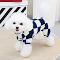 Miniatyrbilde 5 av 5: Hundepyjamas for små hunder, jente vinterhundgenser med båndring, varm valpefleece kjæledyrklær antrekk (blå)