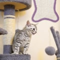 Miniatyrbild 2 av 5: 1 st kattklösbräda Fisk söt kattklösbräda husdjursleksak rep kattklösbräda leksak kattklösbräda