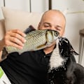 Miniatyrbild 6 av 7: Katt leksaker Flopping fisk med SilverVine och Catnip, Flyttande katt kicker, Floppy Wiggle fisk för små hundar