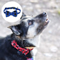 Miniatyrbillede 3 af 5: Julehundehalsbånd med sløjfe klassisk ternet snefnugmønster justerbart kæledyrsbånd
