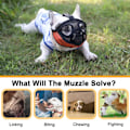 Miniatyrbillede 6 af 7: Bulldog Snuden, Kort Snuden Hund Snuden, Mesh Snuden med Tunge Ud Design, Fladt Ansigt Hund Snuden (Orange)