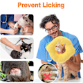 Miniatyrbild 6 av 6: 1 st kattkrage katt halsring citronring katt husdjur huvudskydd anti-slickande, postoperativ reparation anti-slickande