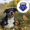 Miniatyrbillede 3 af 5: Formel hundetuxedo-sjal kæledyrsbryllup sløjfe slips Sjal krave justerbar sort hund slips