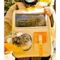 Miniatyrbild 1 av 4: Ryggsäck för katter, transparent orange sodafärgad blockdesign, lätt att rengöra, trendig husdjursbärare för utomhusbruk och universitet