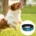 Miniatyrbilde 3 av 5: Reflekterende nylon hundekrage med pustende neoprenpolstring, justerbar