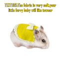 Miniatyrbilde 4 av 5: 2 stk Søte små kjæledyrklær hamsterklær sløyfe hamsterkostyme