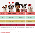 Miniatyrbillede 4 af 5: Bling Hundekrave til Store Hunde - 2 tommer brede rhinestones til piger