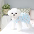 Miniatyrbillede 6 af 6: Katte Kirurgisk Gendannelsesdragt, Kæledyrs Kirurgisk Onesie Efter Operation, Kæledyrs E-krave Alternativ til Hund (Blå)
